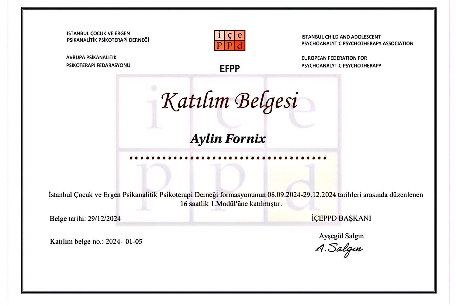 Sertifika 5